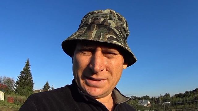 урожай картофеля размышления над ценами на овощи / сколько картофеля в деревне сегодня смотреть онлайн