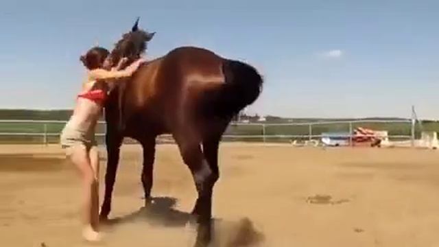 Даже лошадь сочувствовала девушке, которая просто не могла подняться смотреть онлайн