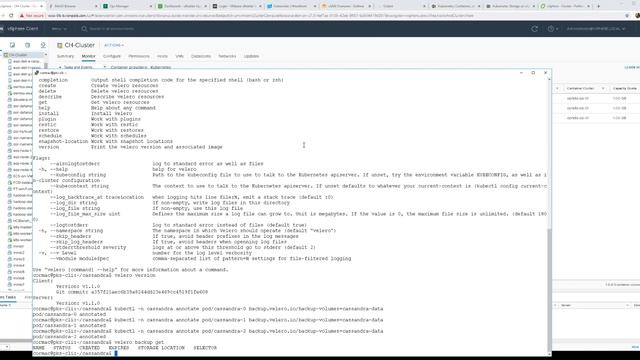 VMware Velero v1.1 demo - backup and restore of Cassandra смотреть онлайн