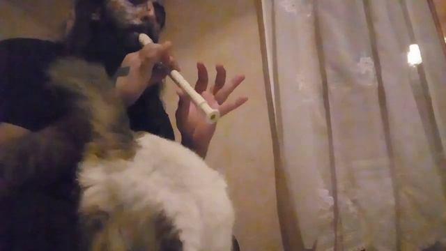 XAZARUM игра на флейте block flute смотреть онлайн