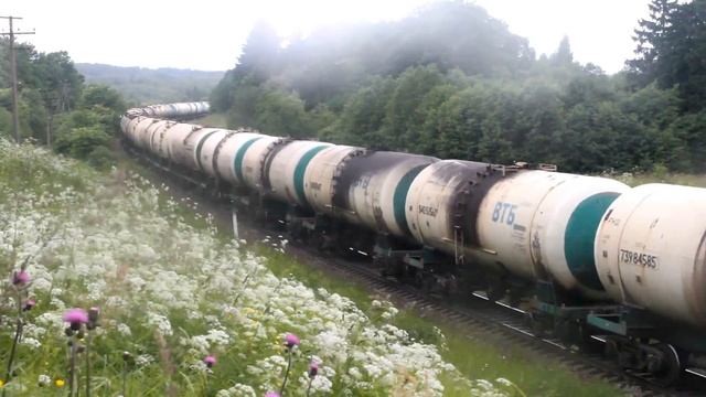 2ТЭ116УД 056 с грузовым поездом на перегоне Панышино - Удомля Октябрьской железной дороги. смотреть онлайн