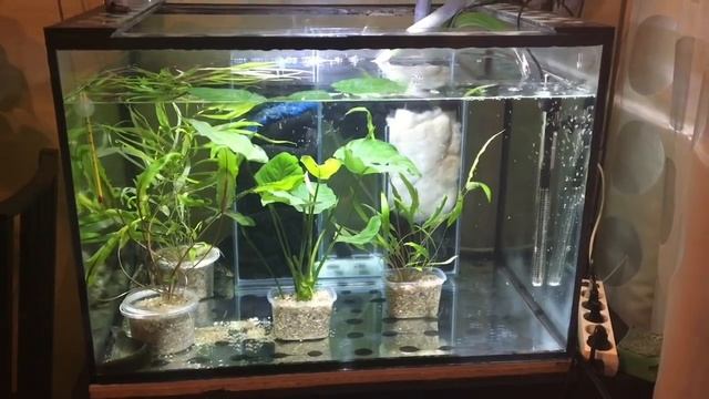 Фильтрация для отсадника