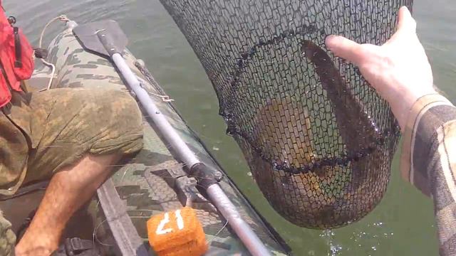 GOPR0311 смотреть онлайн