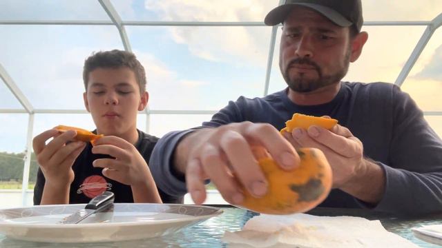 Fruit cocktail mango taste test #mango смотреть онлайн