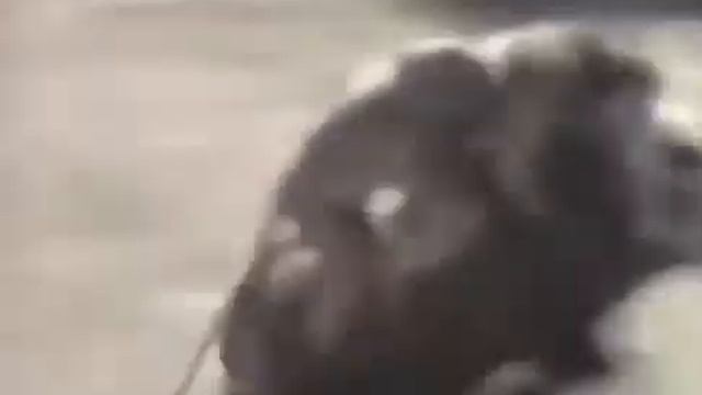 самый лучший мопед :) смотреть онлайн