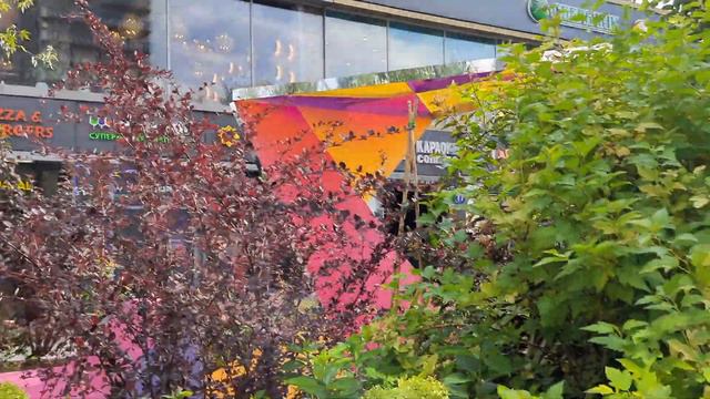 город Москва - улица Новый Арбат. Сады Подмосковья на Новом Арбате. смотреть онлайн