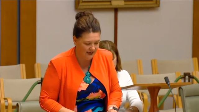 MERYL SWANSON - MP FOR PATERSON - BUSINESS TAX CUT смотреть онлайн