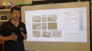 Удаление сажевого фильтра дизеля. Почти лекция.