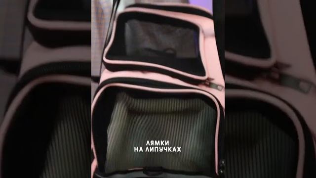 Переноска для кошек, собак и других домашних животных. смотреть онлайн