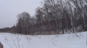 Охота на косулю с подхода зимой в Сибири 2021!