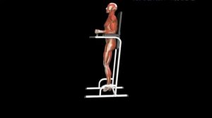 Подъем согнутых ног в упоре на брусьях Vertical Leg Hip Raise