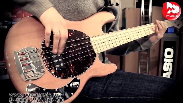 Бас-гитара STAGG MB300/5 смотреть онлайн