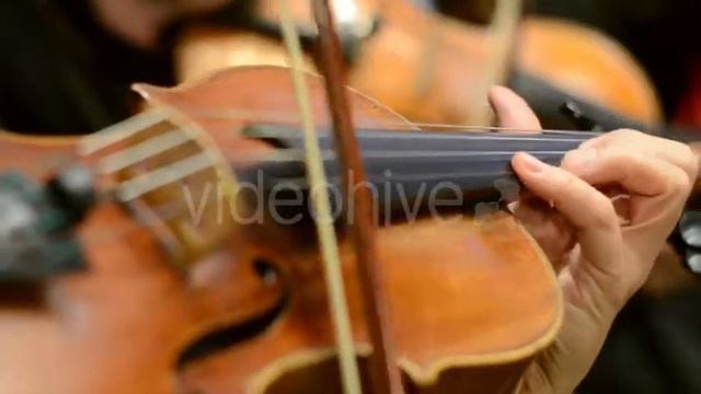 Play On Vintage Violin - Stock Footage | VideoHive 15330915 смотреть онлайн