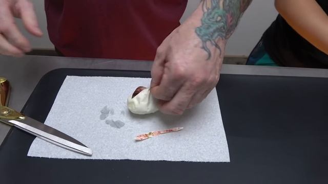 Ball Python Egg Cutting With Cat From Stellar Serpens! #84 смотреть онлайн