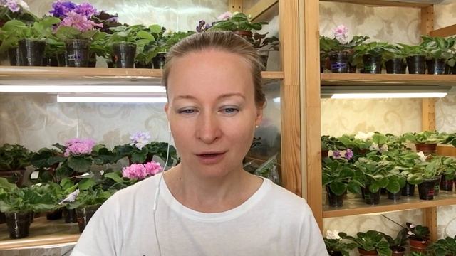 Фиалка и ОТПУСК. Сохраняем цветы смотреть онлайн