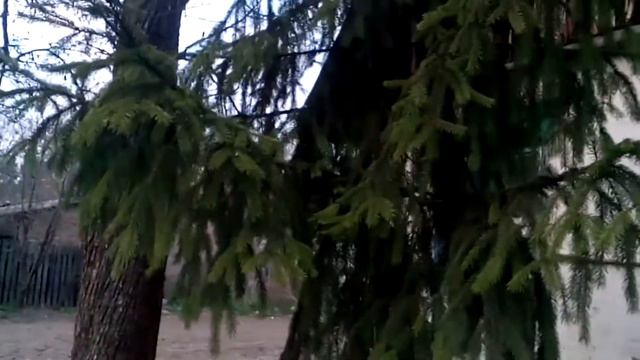 Пасха в Мотовиловке смотреть онлайн