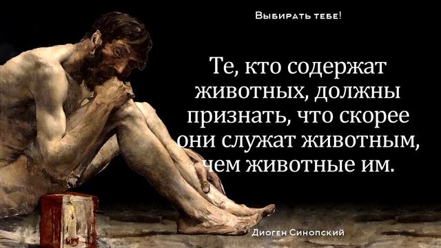 Сильные и Смелые Слова Диогена Синопского смотреть онлайн