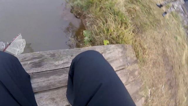 Ловля форели на спиннинг. Чистые пруды. смотреть онлайн