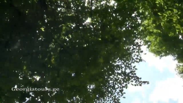 Путешествие по Грузии заповедник Кинтриши საქართველო კინტრიშის ნაკრძალი смотреть онлайн