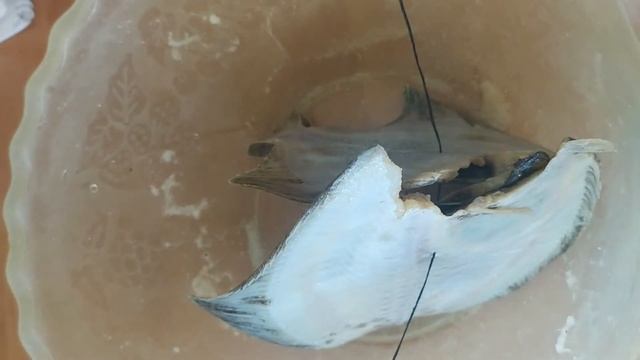 Фотоискусство и Эстетика