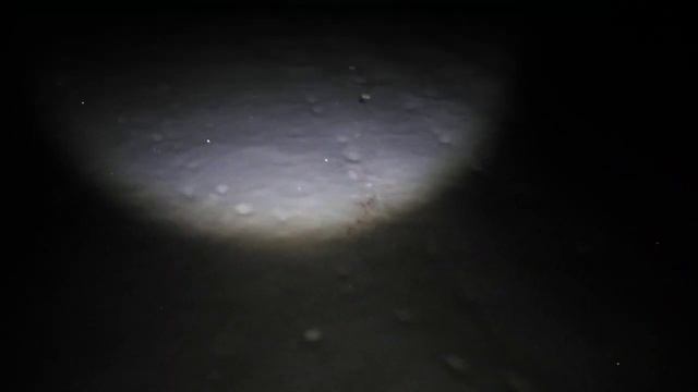 Охота на лису (Крик раненого зайца) смотреть онлайн