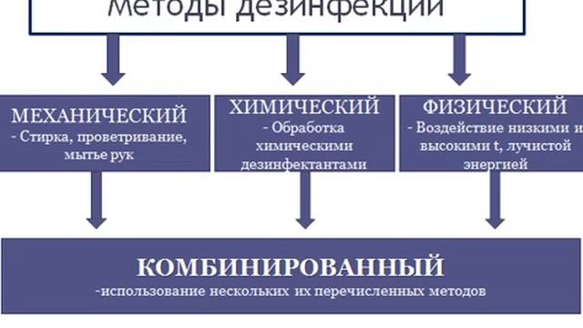 Виртуоз Гастрономии