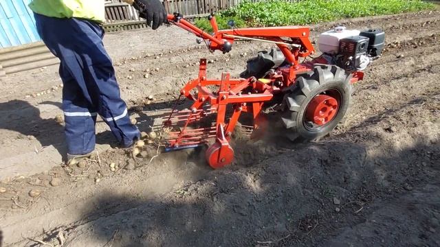 Копалка КФТ2, мотоблок МТЗ, Kopaczka Do Ziemniaków, Walk Behind Tractor, Potato Digger Machine
