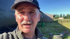 100 га - что посеять? Сено, сенаж - какие травы? Сколько с 1 га?