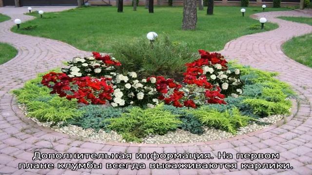 Клумба из хвойников