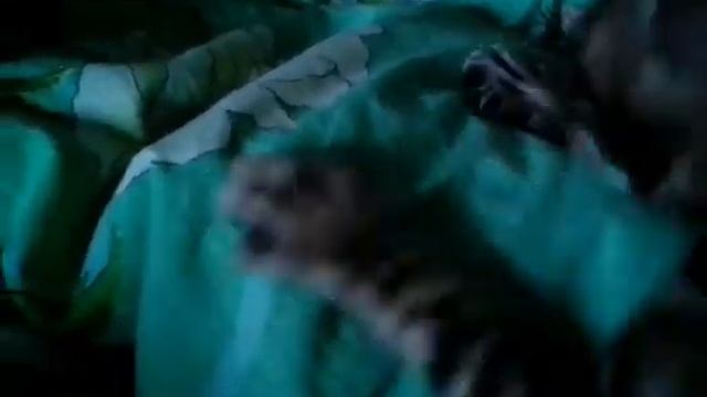 Наш котёнок Бонифаций. смотреть онлайн