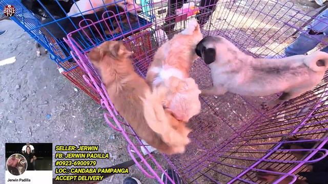 BATA PA SOBRA LAKAS MAG LAHI, BAWI MO AGAD SA STUD NYA.. смотреть онлайн