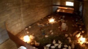 Ролик О Всём Сразу