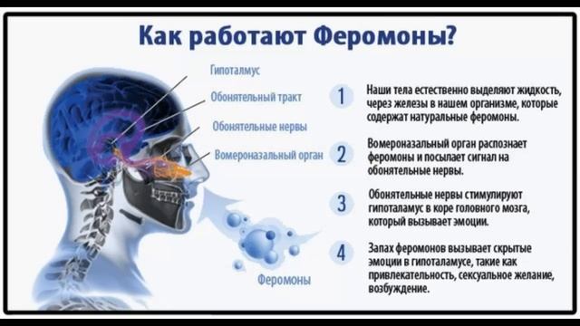 ЕВРОПА ОТБИВАЛА ВОНЬ ДУХАМИ, А СЛАВЯНЕ МЫЛИСЬ В БАНЕ!!! смотреть онлайн