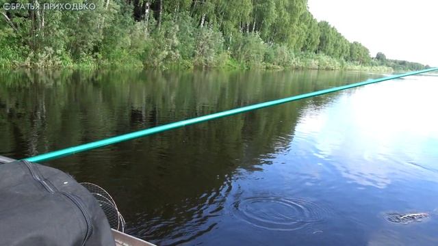 ВЕДРО РЫБЫ НА ОШМЕТОК ЧЕРВЯ ЗА ЧАС смотреть онлайн