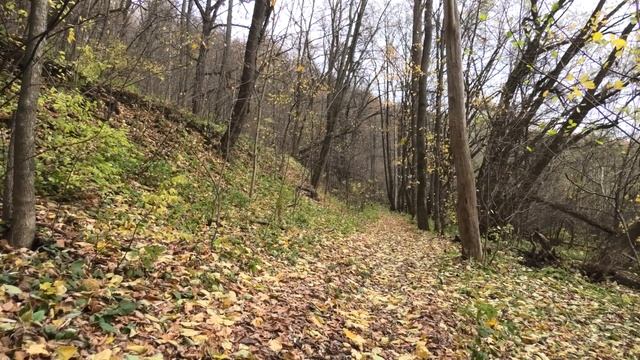 Ильясовский перекат на реке Осетр. Интересные места Подмосковья #2 смотреть онлайн