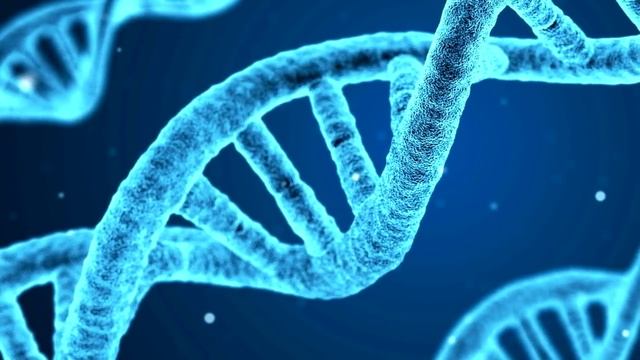 Под Антарктидой - тёплое море. И в нём могут жить животные. смотреть онлайн