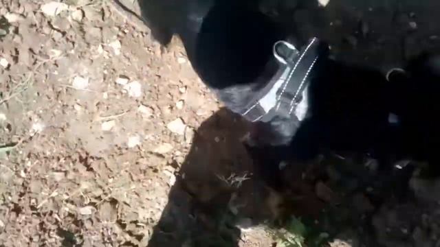 Дельта "аппорт" смотреть онлайн