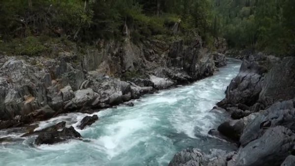 НАСТРОЙ СЫТИНА. Уничтожение вирусов и инфекций. Видео от ТаГоры