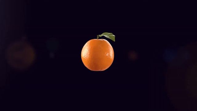 ЗИМНИЕ ИЗМЕНЕНИЯ В ОРГАНИЗМЕ