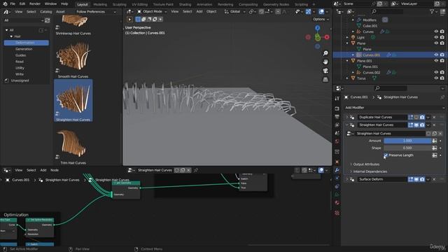 223 - Straighten Hair Curves
