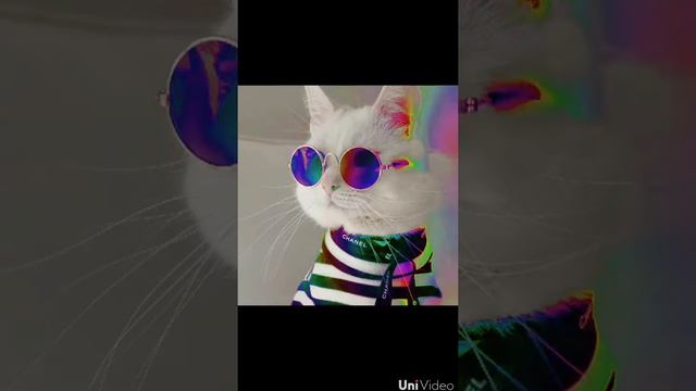 Клип ,,Танцевать под фонарём'' смотреть онлайн