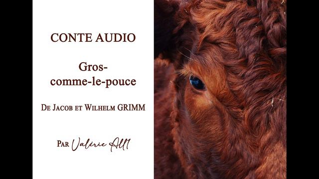 🔸037 Gros comme le pouce de Jacob et Wilhelm GRIMM🔸CONTE AUDIO par Valérie All1 смотреть онлайн