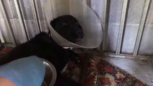 Большой как дела? смотреть онлайн