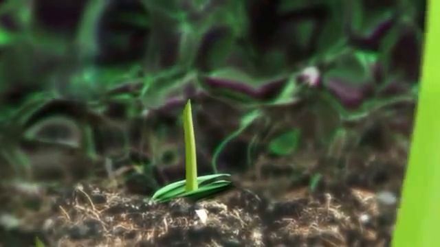 Hydro Grass Canada Green смотреть онлайн