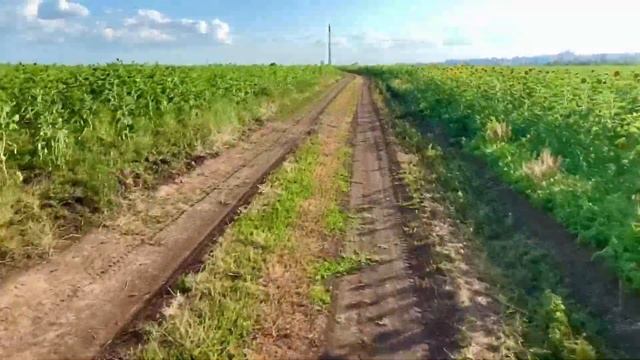 Ninebot z10 country house trip смотреть онлайн