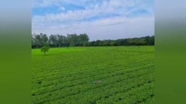 Beautiful Rangpur Division | Division of Bangladesh wertyuiopasdfghjkl смотреть онлайн