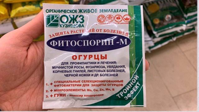 ЖЕЛТЕЮТ ЛИСТЬЯ ОГУРЦОВ - СУПЕР СРЕДСТВО ЙОД И МОЛОКО Что делать, желтеют и вянут листья у огурцов? смотреть онлайн