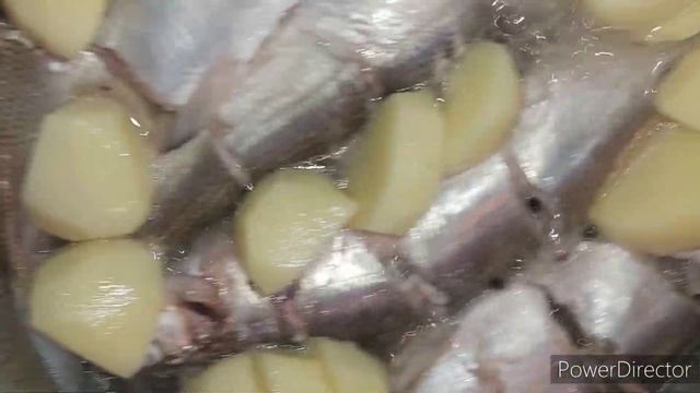 Домашний шеф-повар для начинающих