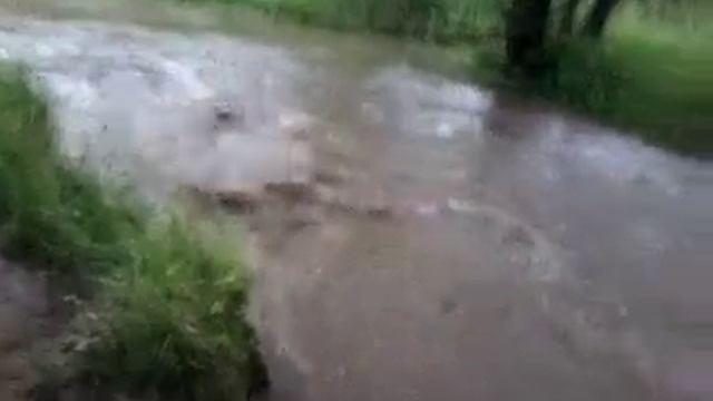 река. Раменка в дождик. 19.07.2018 смотреть онлайн