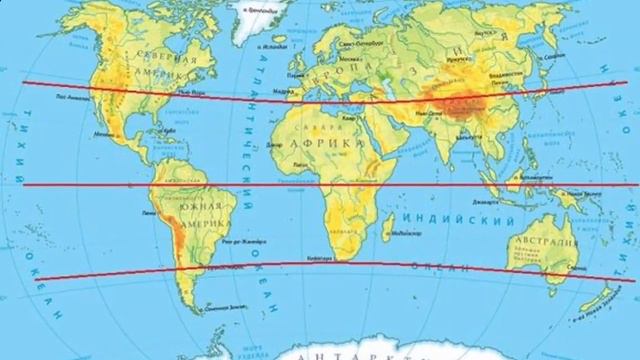 Звериные истории в пустыне